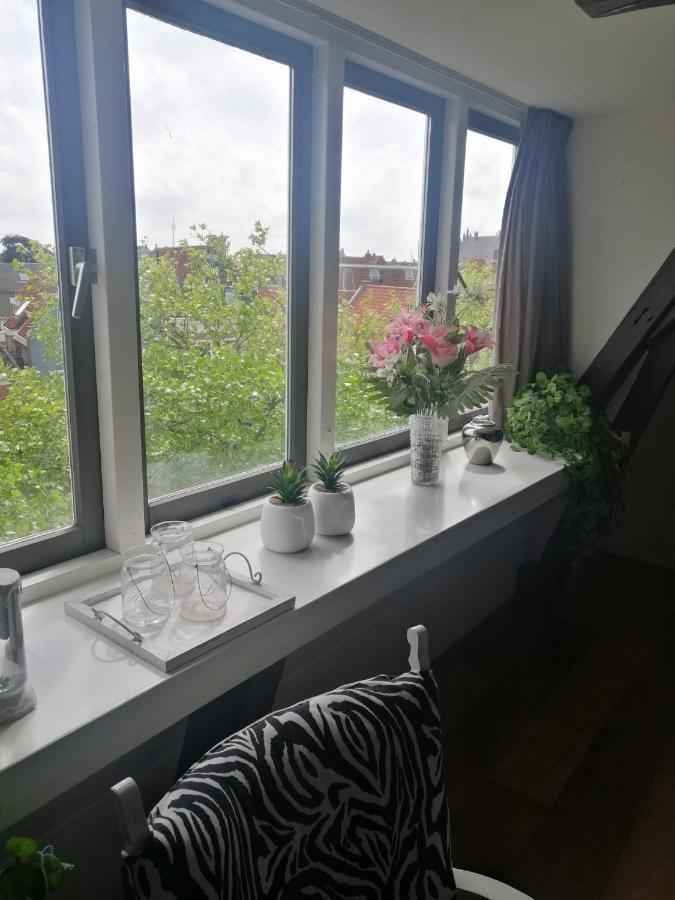Wittezwaan Bed & Breakfast Harlingen Exterior photo